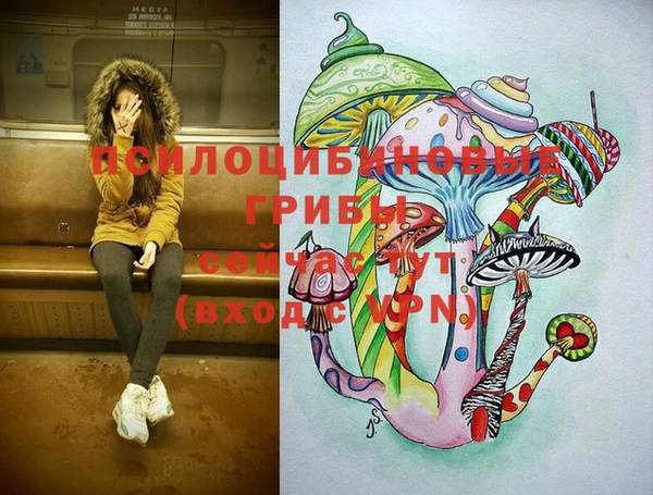 твердый Вяземский