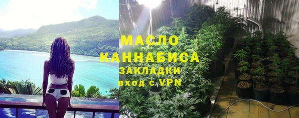 индика Горнозаводск