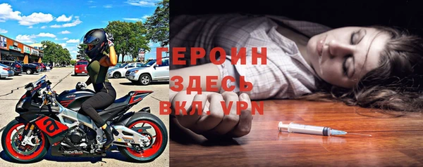 индика Горнозаводск