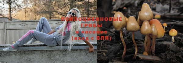 прущие крисы Верея