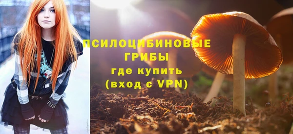 индика Горнозаводск