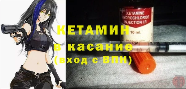 твердый Вяземский