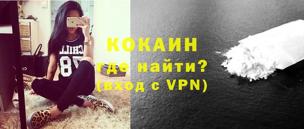 индика Горнозаводск