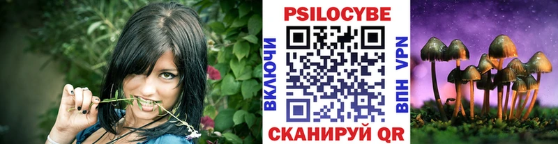 хочу наркоту  Заволжье  Псилоцибиновые грибы прущие грибы 
